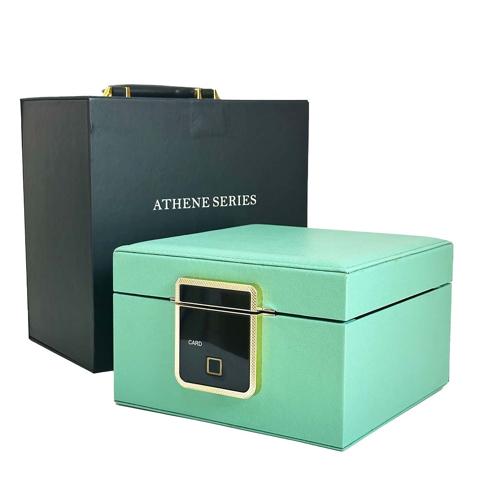 HONGYEXGCN Green Leather Fingerprint Lock Jewelry Box